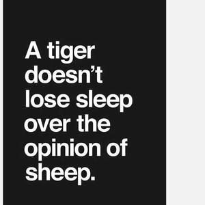 Meet your Posher, Bridgett